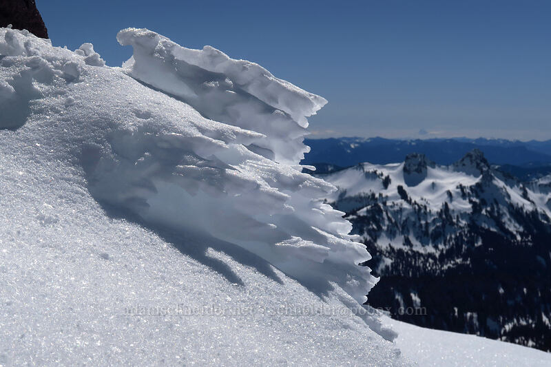 wind-sculpted snow [Panorama Point, Mt. Rainier National Park, Pierce County, Washington]