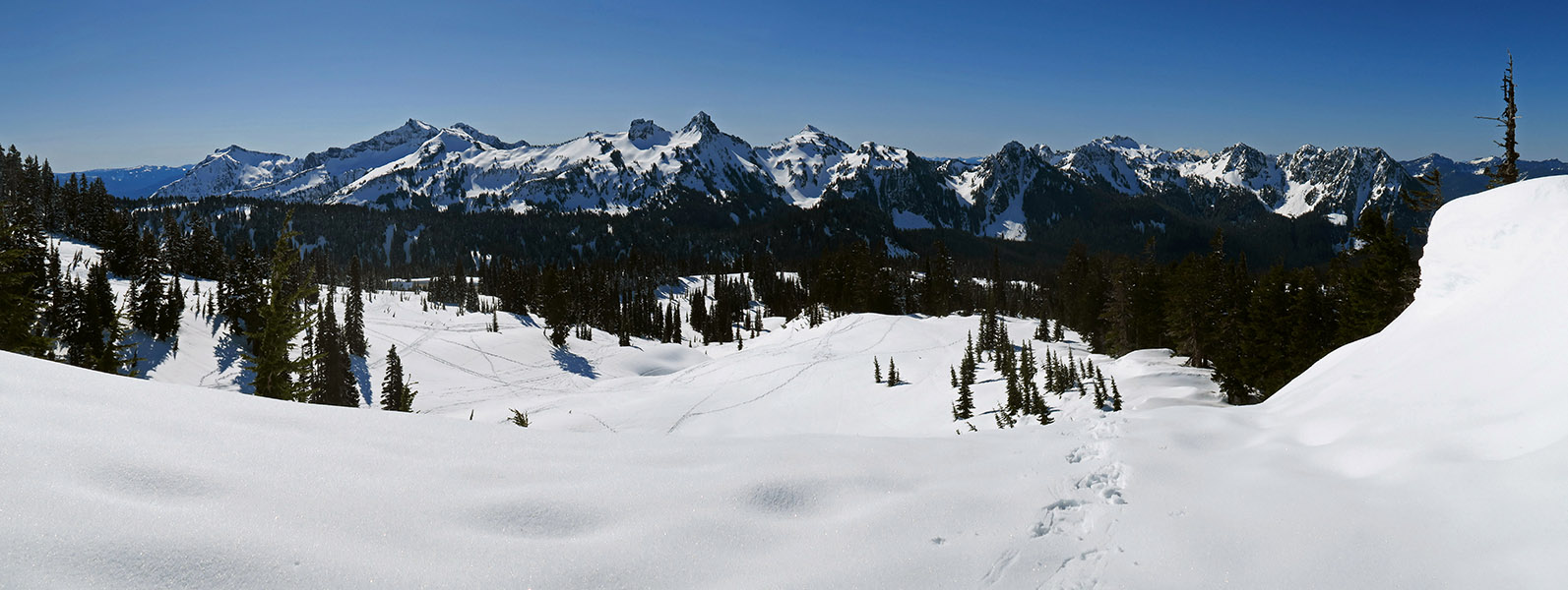 Tatoosh Range panorama [above Paradise, Mt. Rainier National Park, Pierce County, Washington]