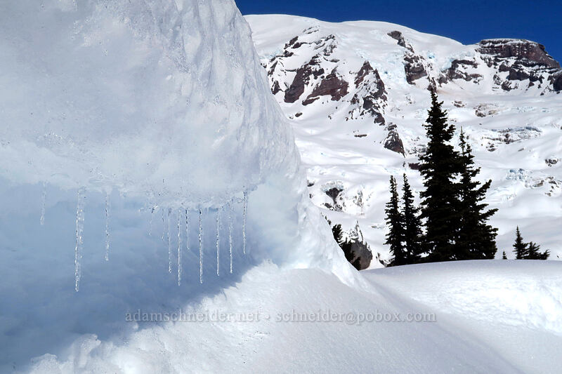 icicles on a cornice [above Paradise, Mt. Rainier National Park, Pierce County, Washington]