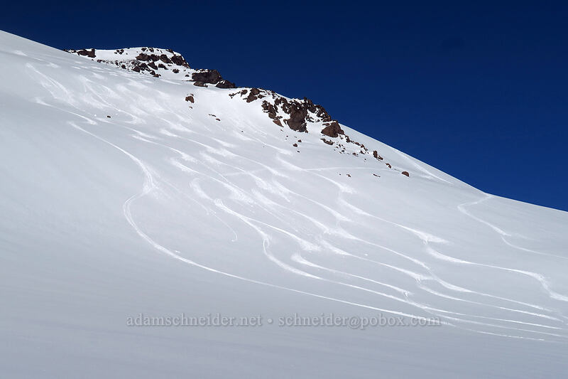 ski tracks [above Paradise, Mt. Rainier National Park, Pierce County, Washington]