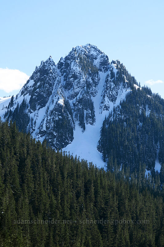Lane Peak [Longmire-to-Paradise Road, Mt. Rainier National Park, Washington]