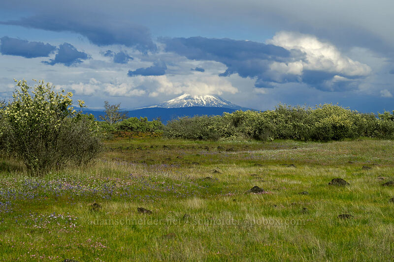 Mt. McLoughlin [Lower Table Rock, Jackson County, Oregon]