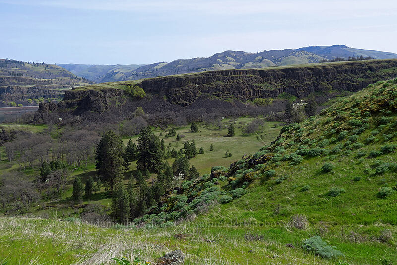 Rowena Dell & Rowena Plateau [above Rowena Dell, Wasco County, Oregon]