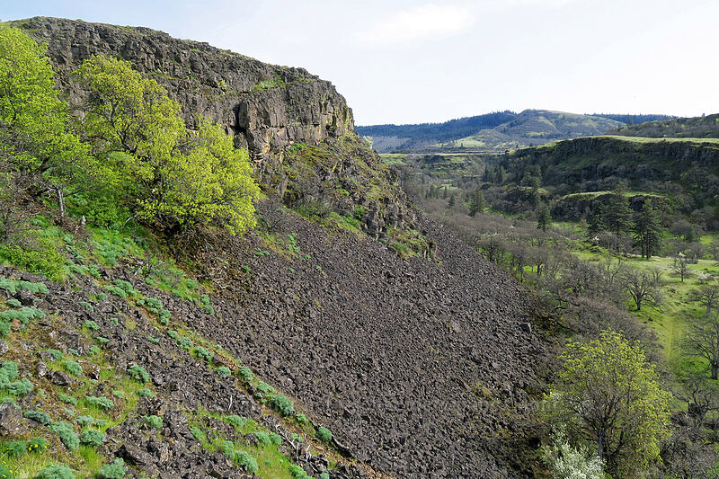 edge of Rowena Plateau [Rowena Plateau, Wasco County, Oregon]