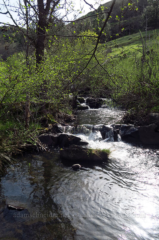 Rowena Creek [Rowena Dell, Wasco County, Oregon]