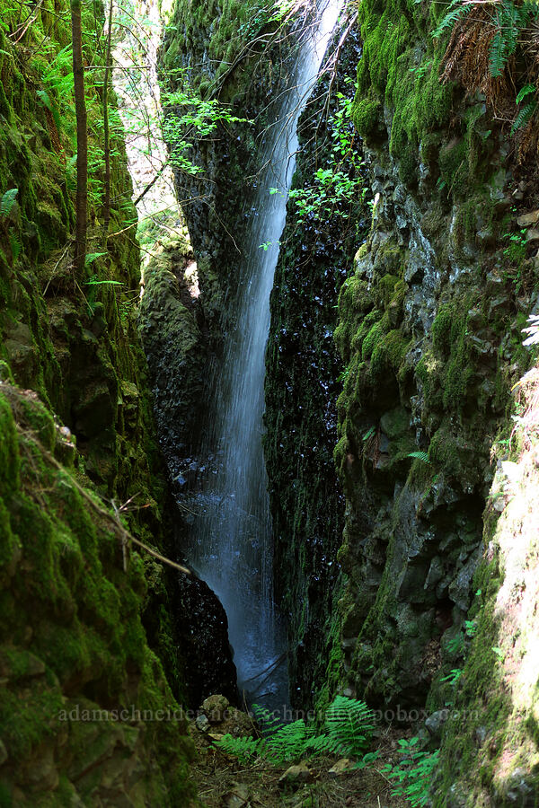 tiny waterfall [BPA powerline road, Columbia Falls Natural Area Preserve, Skamania County, Washington]