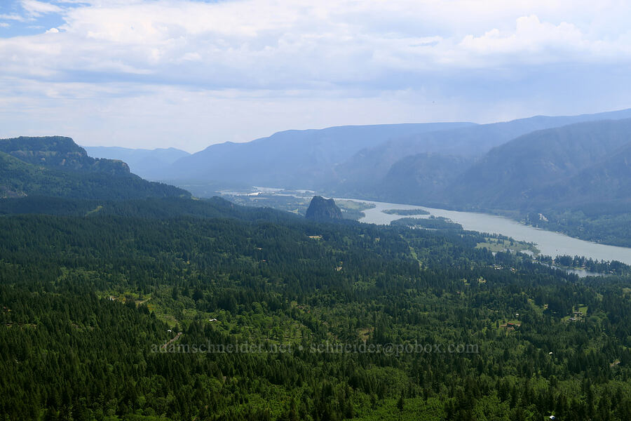 Columbia River Gorge [Arrow Point, Gifford Pinchot National Forest, Skamania County, Washington]