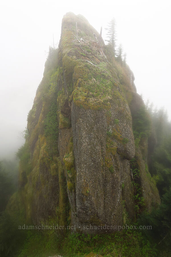 Revenge of Angora [Angora Peak summit, Clatsop County, Oregon]