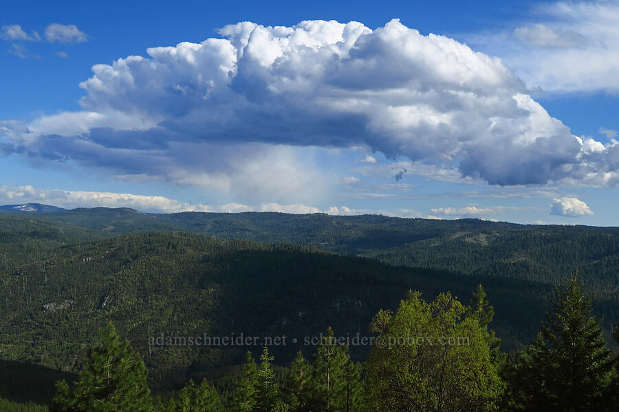 cumulus clouds [Peavine Ridge, Eldorado National Forest, El Dorado County, California]