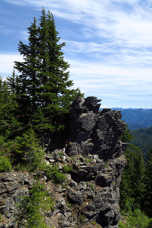 rugged cliffs [Tumble Ridge, Willamette National Forest, Marion County, Oregon]
