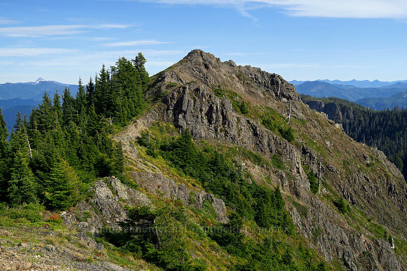 Sardine Mountain's summit [Sardine Mountain, Willamette National Forest, Marion County, Oregon]