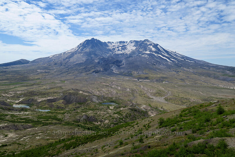 Mount St. Helens & Pumice Plain [Devil's Elbow, Mt. St. Helens National Volcanic Monument, Skamania County, Washington]