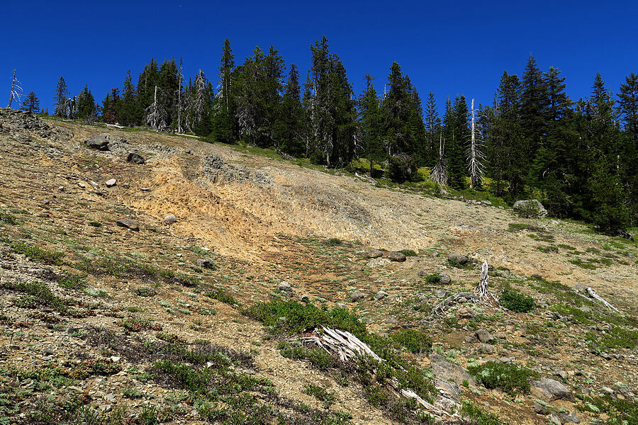 weird rock outcrop [Blair Lake Trail, Willamette National Forest, Lane County, Oregon]