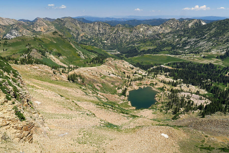 Albion Basin & Cecret Lake [Sugarloaf Mountain, Alta, Salt Lake County, Utah]