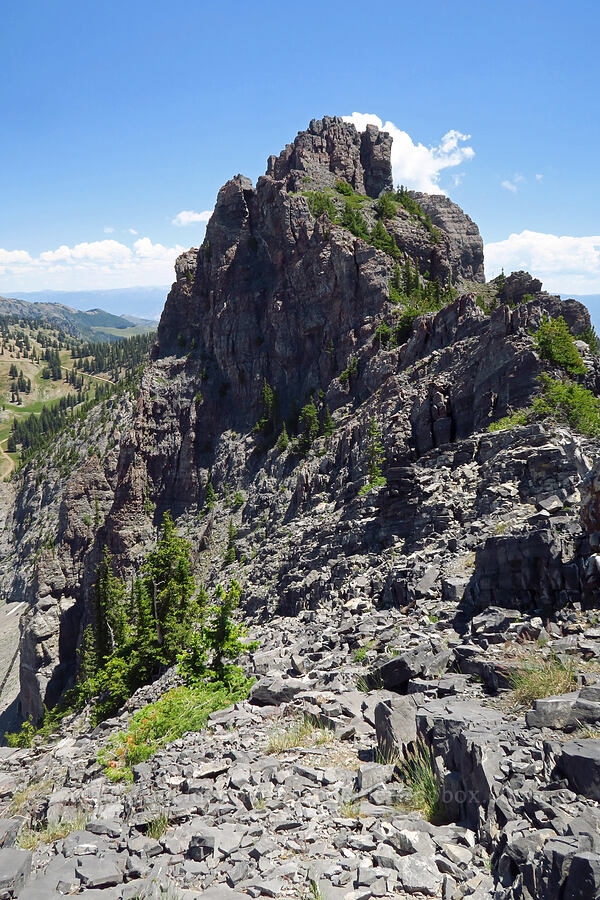 Devil's Castle [Devil's Castle, Alta, Utah]