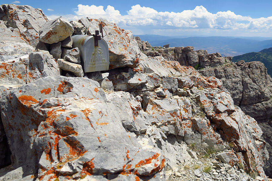 summit mailbox [Devil's Castle, Alta, Utah]