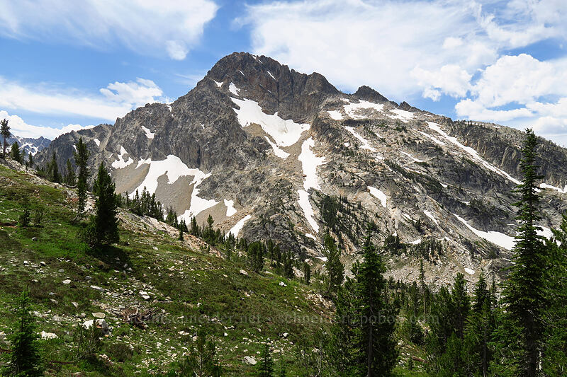 Mt. Regan [above Sawtooth Lake, Sawtooth Wilderness, Custer County, Idaho]