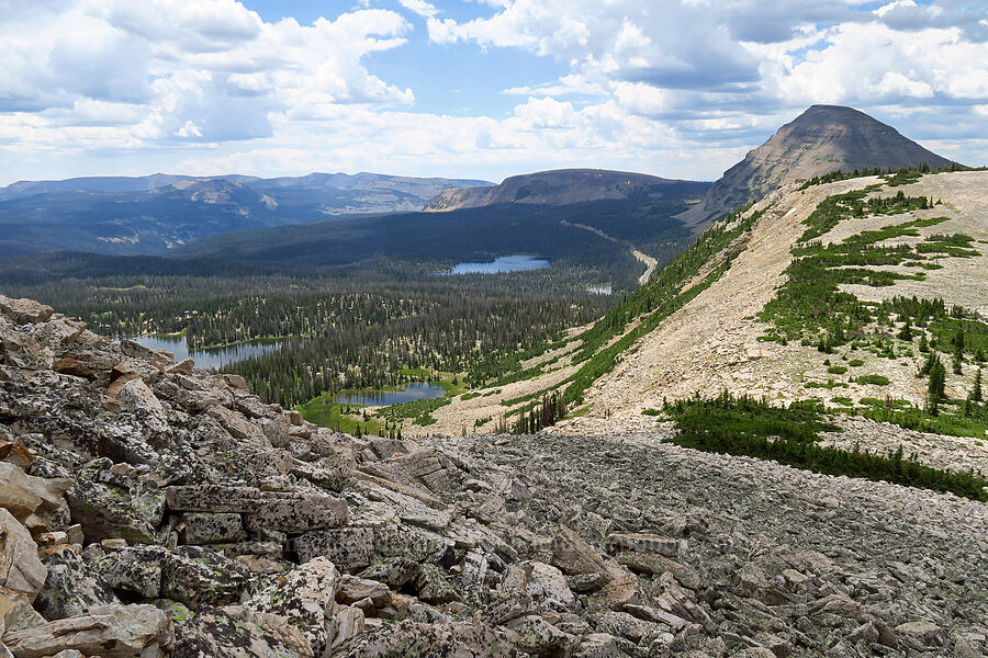 view to the south [Lofty Peak, Uinta-Wasatch-Cache National Forest, Summit County, Utah]