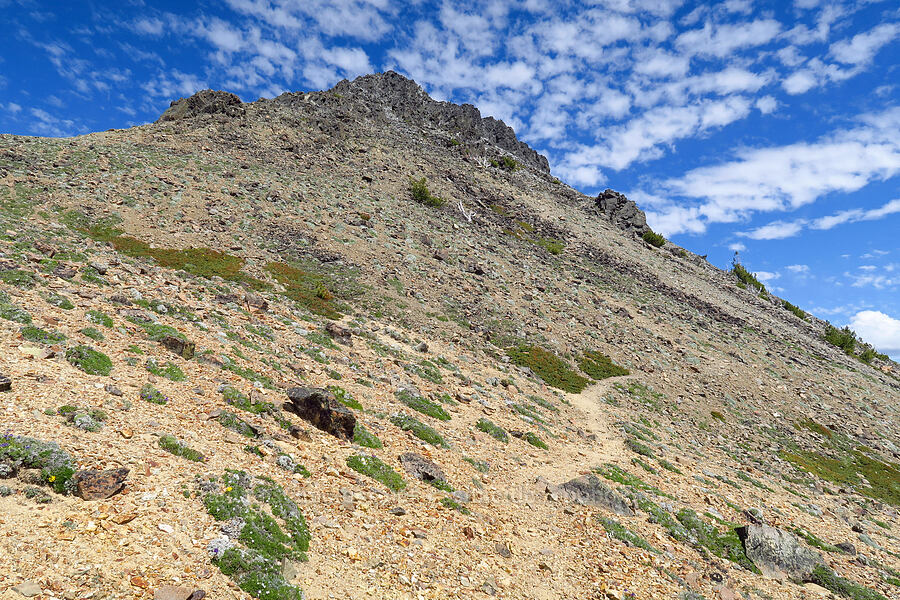 Mount Aix's summit [Mt. Aix Trail, William O. Douglas Wilderness, Yakima County, Washington]