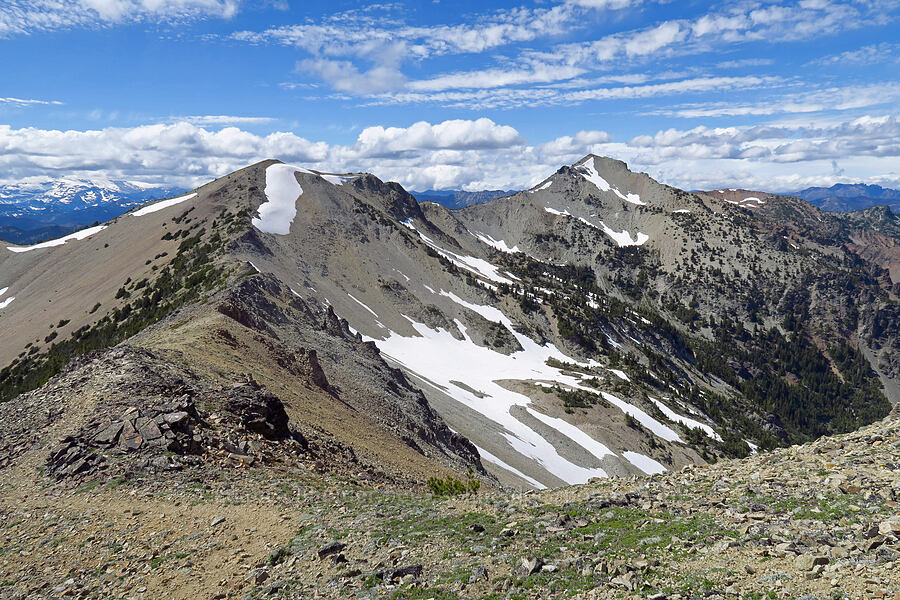 Nelson Ridge [Mt. Aix Trail, William O. Douglas Wilderness, Yakima County, Washington]