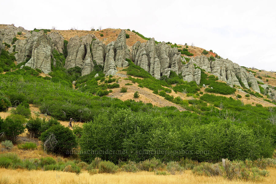cliffs [Mt. Nebo Scenic Byway, Uinta-Wasatch-Cache National Forest, Juab County, Utah]