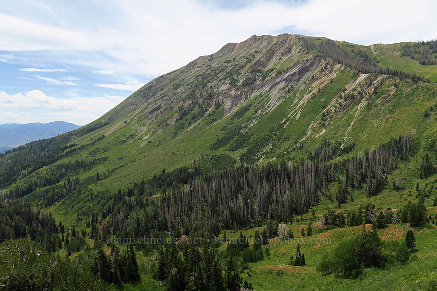 North Peak [North Peak Trail, Mount Nebo Wilderness, Utah County, Utah]