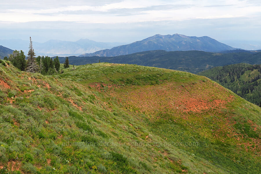 red dirt, Santaquin Peak, & Loafer Mountain [North Peak Trail, Mount Nebo Wilderness, Utah County, Utah]