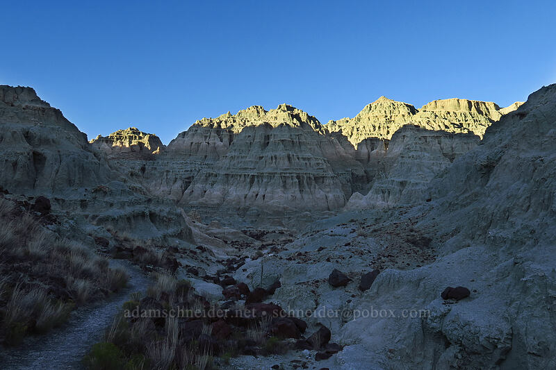 Blue Basin [Island In Time Trail, John Day Fossil Beds National Monument, Grant County, Oregon]