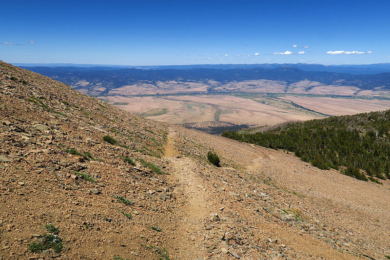 John Day Valley & Prairie City [Summit Trail, Strawberry Mountain Wilderness, Grant County, Oregon]