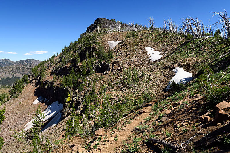 Peak 8452 [Strawberry Basin Trail, Strawberry Mountain Wilderness, Grant County, Oregon]