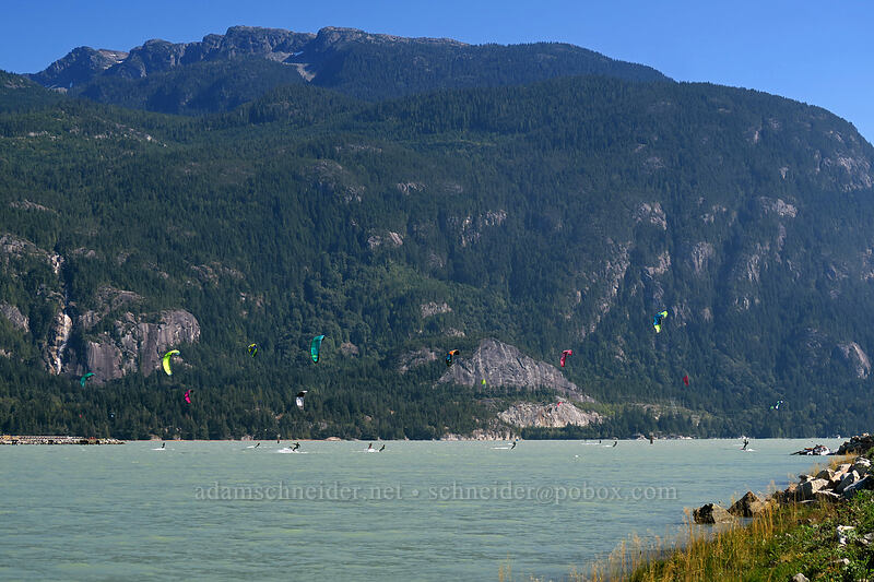 kiteboarders [The Spit, Squamish, British Columbia, Canada]