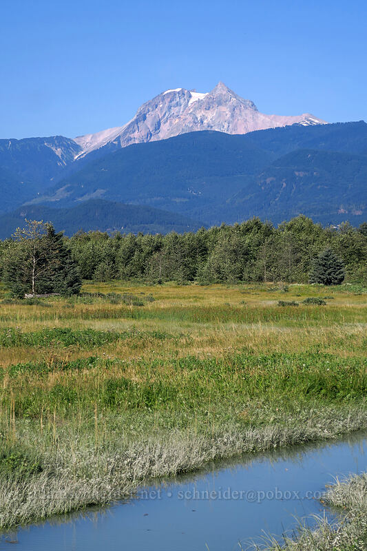 Mt. Garibaldi & Squamish River Estuary [Skwelwil'em Wildlife Management Area, Squamish, British Columbia, Canada]