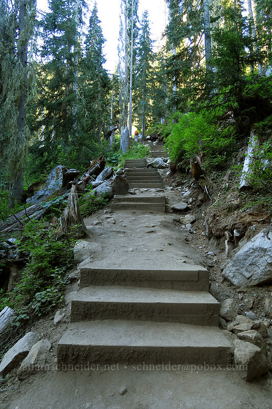 stairs [Joffre Lakes Trail, Joffre Lakes Provincial Park, British Columbia, Canada]
