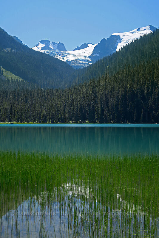 Metier Glacier & Lower Joffre Lake [Joffre Lakes Trail, Joffre Lakes Provincial Park, British Columbia, Canada]
