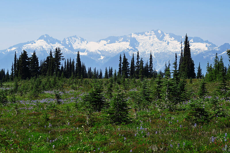 Tantalus Range [Helm Creek Trail, Garibaldi Provincial Park, British Columbia, Canada]