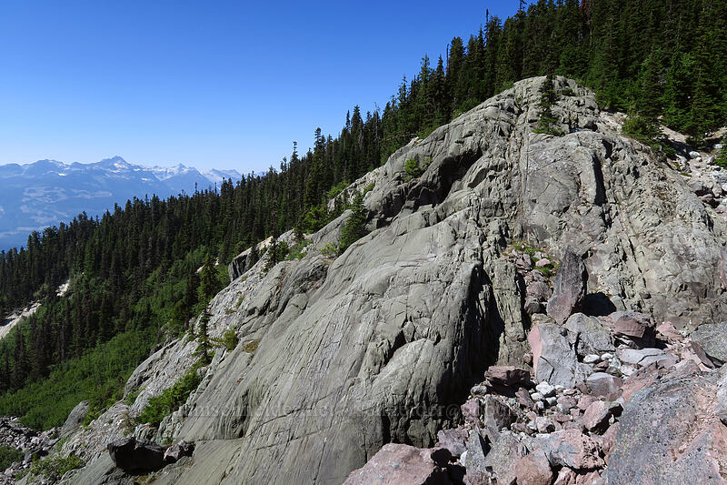 smooth volcanic rock [The Barrier, Garibaldi Provincial Park, British Columbia, Canada]