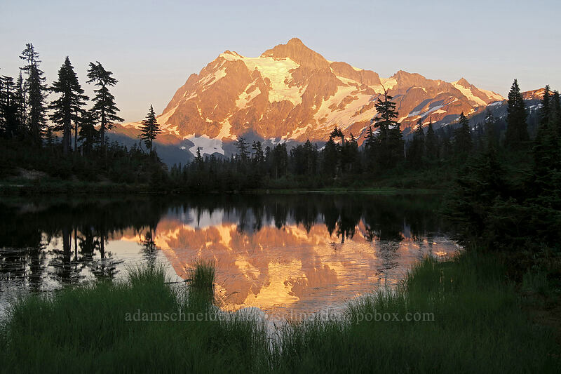 Mt. Shuksan, Picture Lake, & reeds [Picture Lake Path, Mount Baker-Snoqualmie National Forest, Whatcom County, Washington]