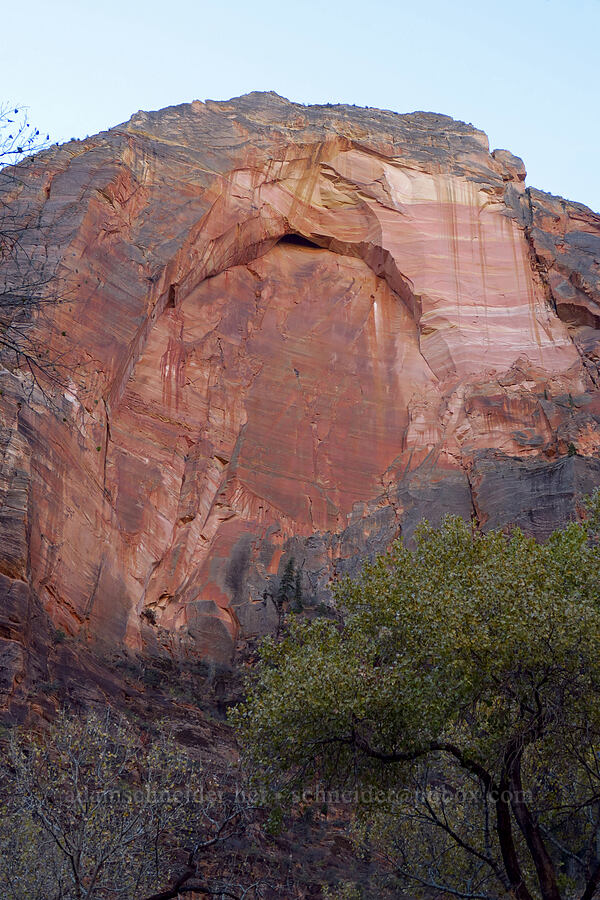 Red Arch Mountain [The Grotto Trailhead, Zion National Park, Washington County, Utah]