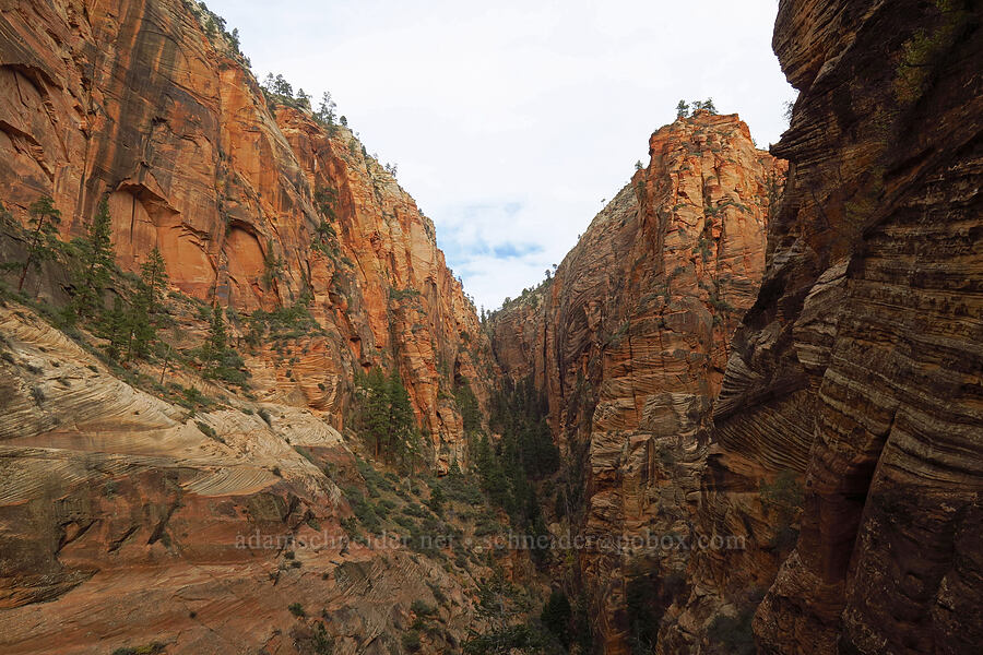 Refrigerator Canyon [West Rim Trail, Zion National Park, Washington County, Utah]