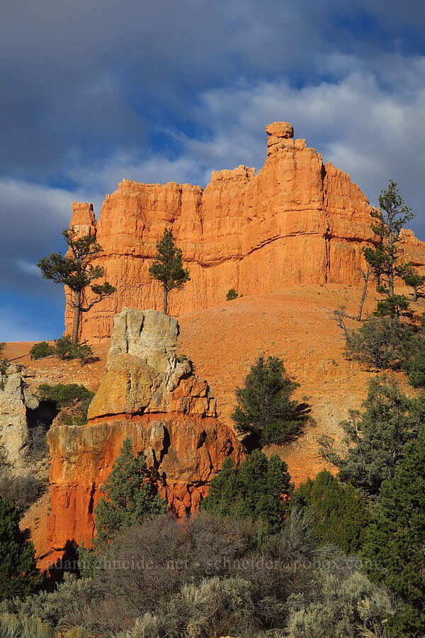 Red Canyon [Utah SR-12, Dixie National Forest, Garfield County, Utah]