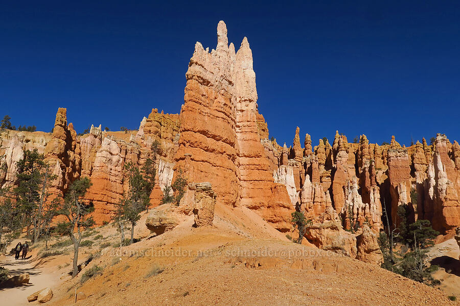 hoodoos [Navajo Loop Trail, Bryce Canyon National Park, Garfield County, Utah]