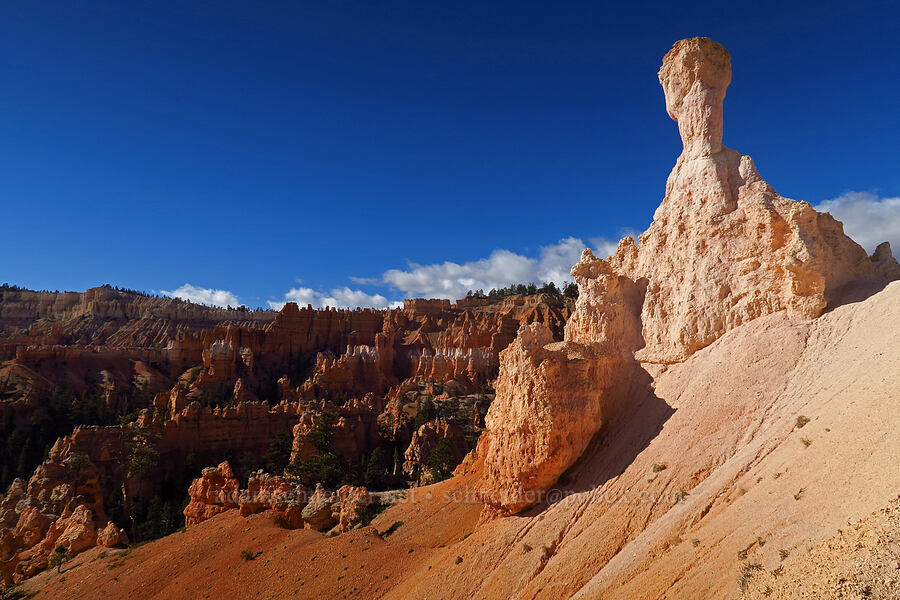 E.T. hoodoo [Queen's Garden Trail, Bryce Canyon National Park, Garfield County, Utah]