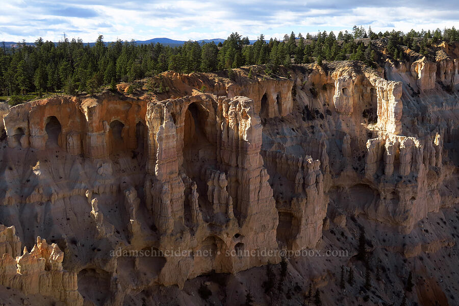 arches in the rim [Bryce Point, Bryce Canyon National Park, Garfield County, Utah]