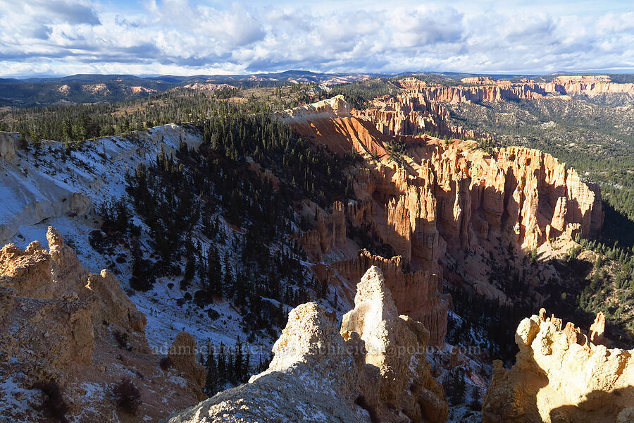 view to the northwest [Rainbow Point, Bryce Canyon National Park, Kane County, Utah]