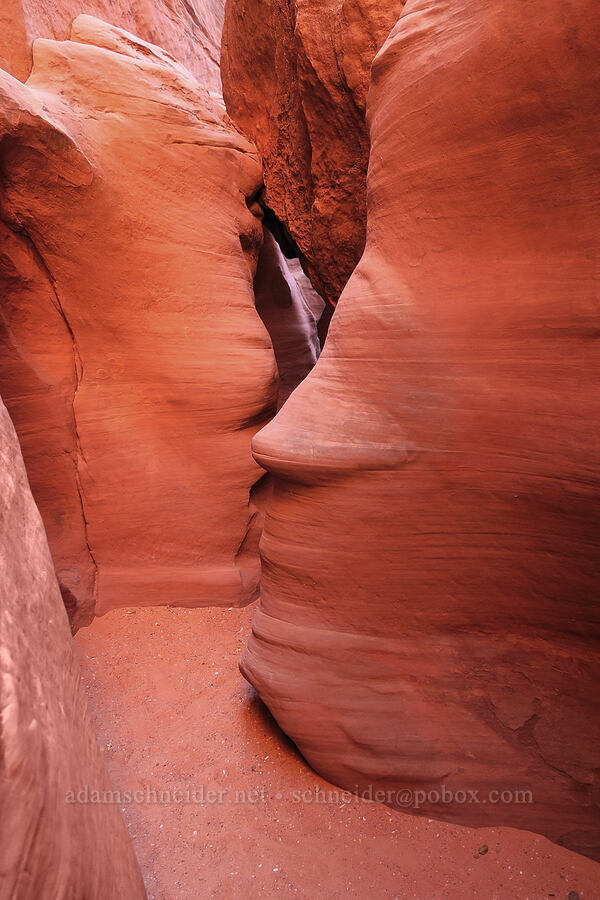 sandstone face [Spooky Slot Canyon, Grand Staircase-Escalante National Monument, Kane County, Utah]