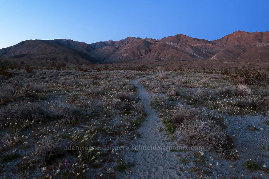 Santa Rosa Mountains after sunset [Villager Peak Trail, Anza-Borrego Desert State Park, San Diego County, California]