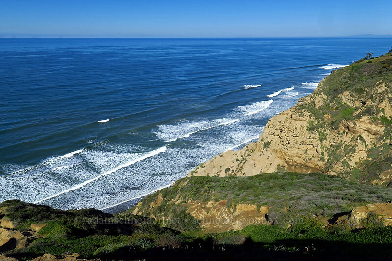 La Jolla coastline [Scripps Coastal Reserve, La Jolla, San Diego County, California]
