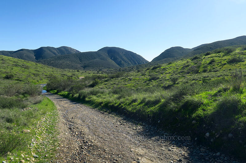 green hills [Mission Trails Regional Park, San Diego, California]