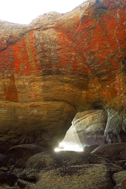 inner walls of Devil's Punchbowl [Devil's Punchbowl State Park, Otter Rock, Lincoln County, Oregon]