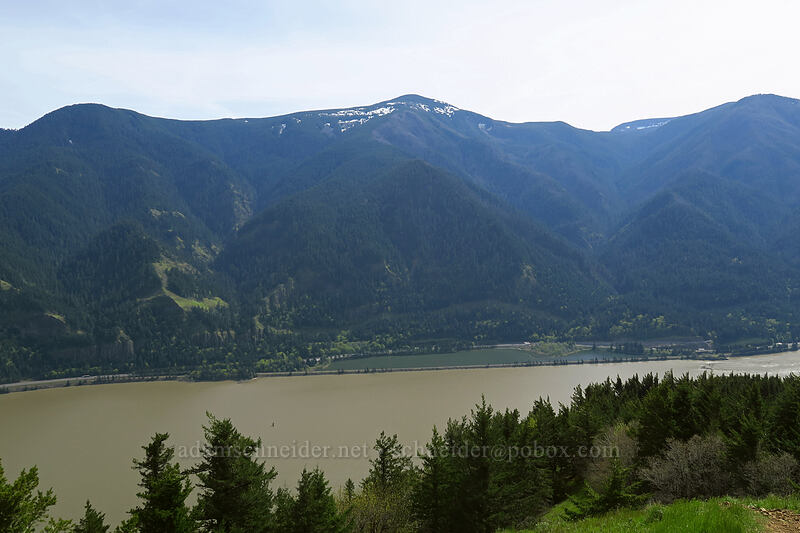 Mount Defiance & the Columbia River [Dog Mountain Trail, Columbia River Gorge, Skamania County, Washington]